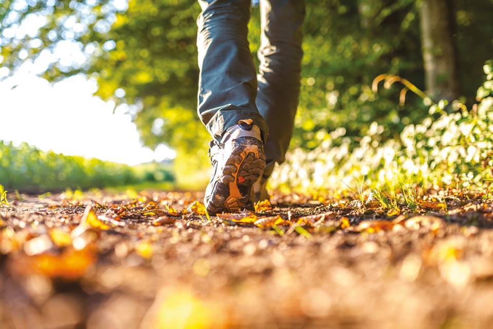 Herfstwandeling